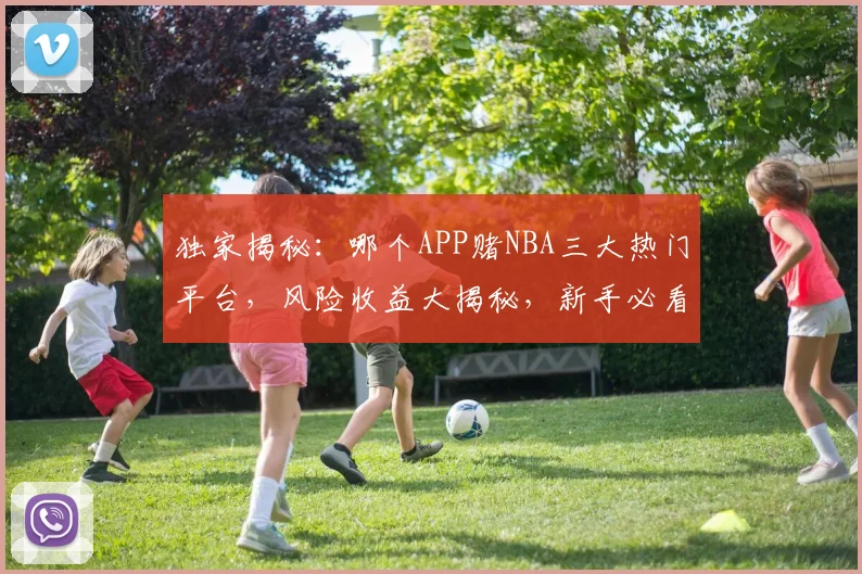 独家揭秘：哪个APP赌NBA三大热门平台，风险收益大揭秘，新手必看