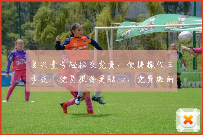 复兴壹号轻松交党费，便捷操作三步走，党员服务更贴心，党费缴纳不再难，一键完成，效率高