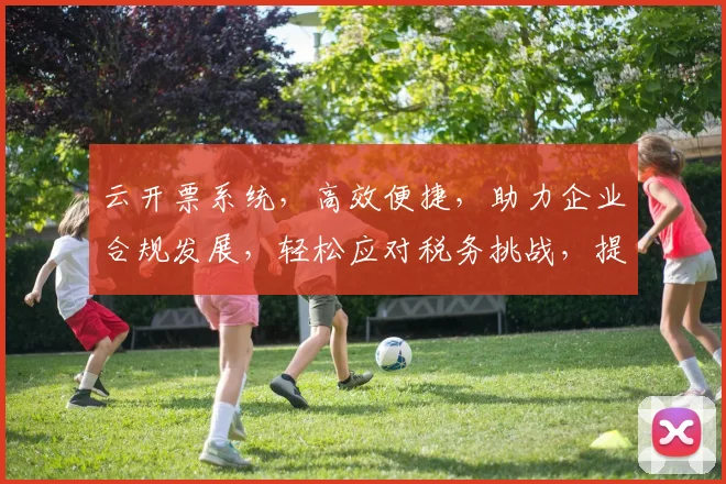云开票系统，高效便捷，助力企业合规发展，轻松应对税务挑战，提升财务管理水平。