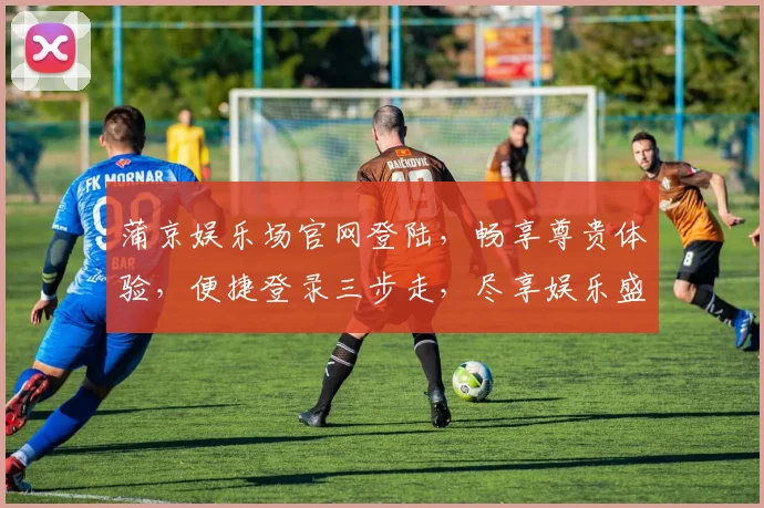 蒲京娱乐场官网登陆，畅享尊贵体验，便捷登录三步走，尽享娱乐盛宴，惊喜不断