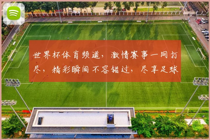 世界杯体育频道，激情赛事一网打尽，精彩瞬间不容错过，尽享足球盛宴